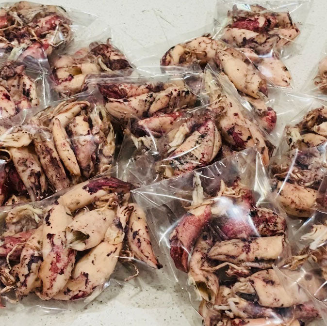 Cumi Asin (Dried and Salted Whole Squid) - In Stock